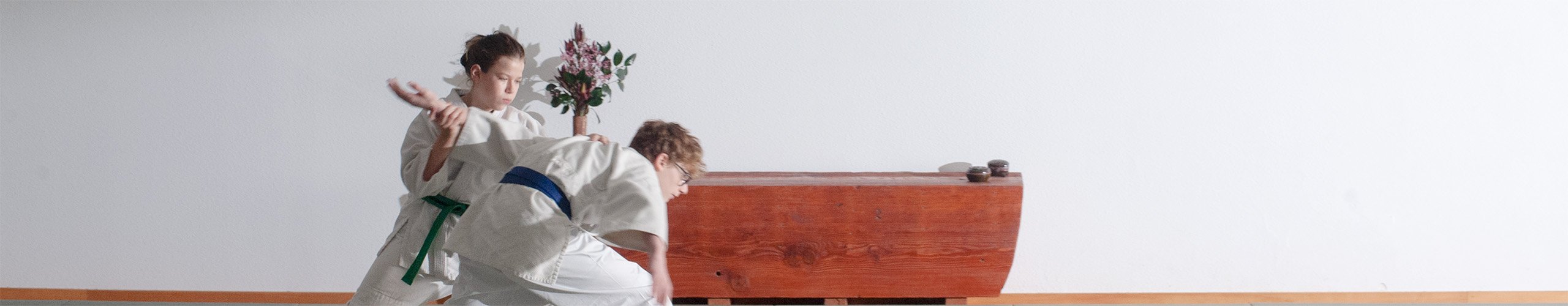 Aikido Classes for Teens