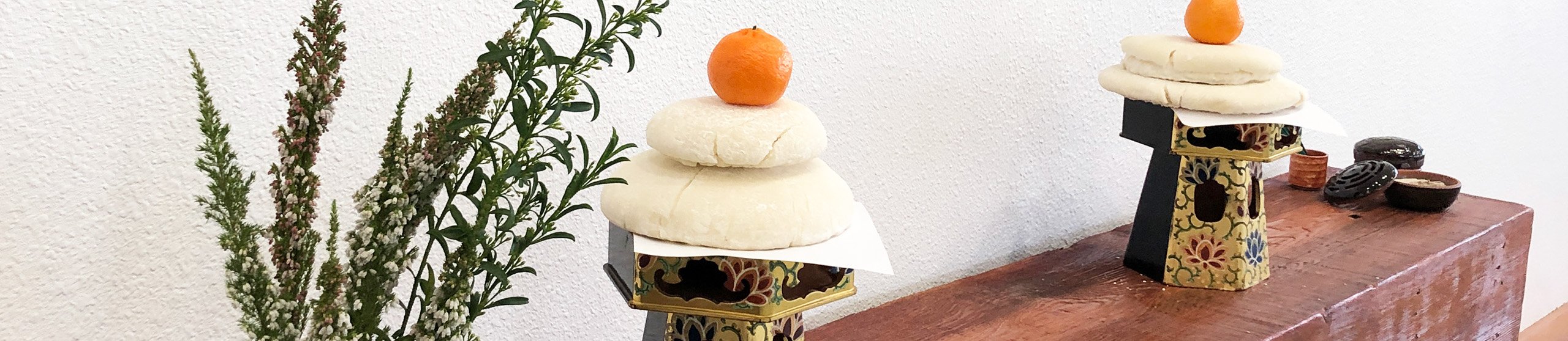 Group of Tacoma Aikido Members