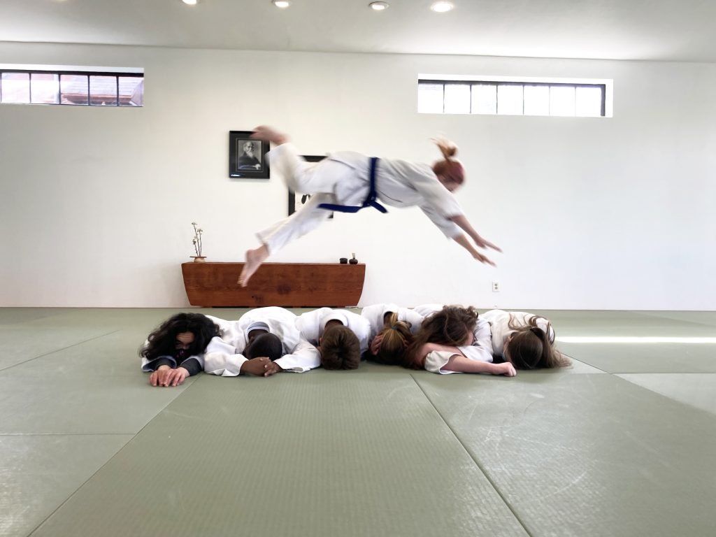 Aikido Teen Flying though Air
